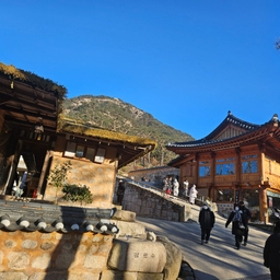 피드에 업로드 된 이미지