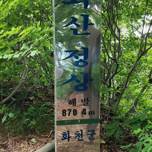 피드 이미지