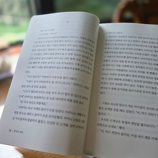 피드 이미지