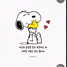 피드에 업로드 된 이미지