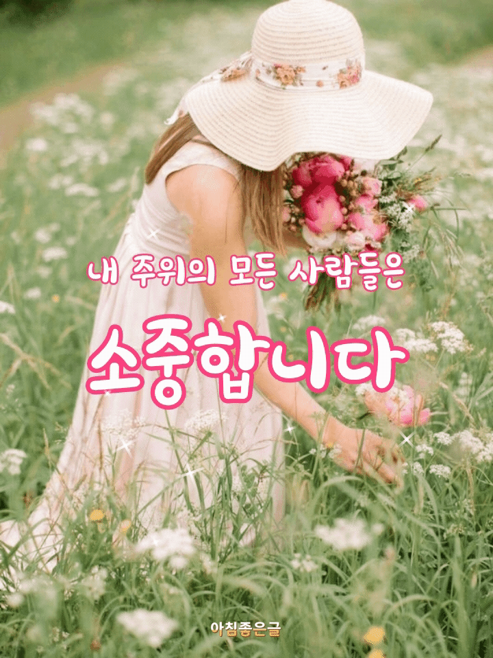 피드 이미지