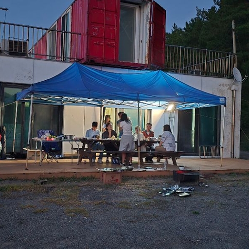 피드 이미지