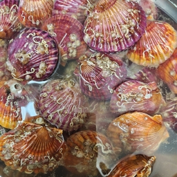 피드에 업로드 된 이미지