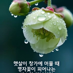 피드에 업로드 된 이미지