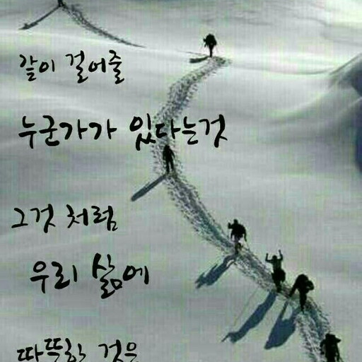 피드 이미지