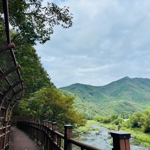 ํผ๋ ์ด๋ฏธ์ง