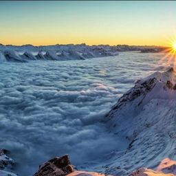 피드에 업로드 된 이미지