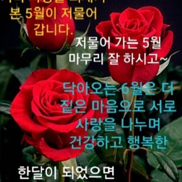 피드에 업로드 된 이미지