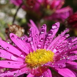 피드에 업로드 된 이미지