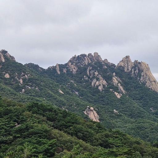 피드 이미지