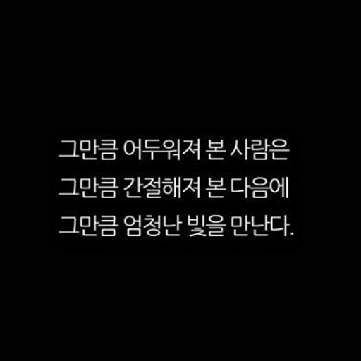 피드 이미지