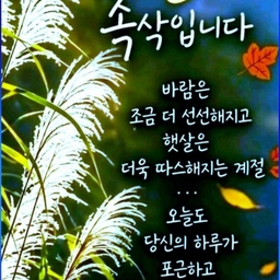 피드에 업로드 된 이미지