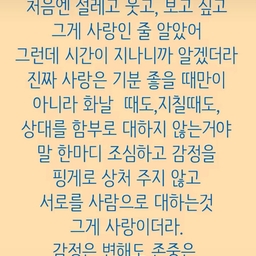 피드에 업로드 된 이미지