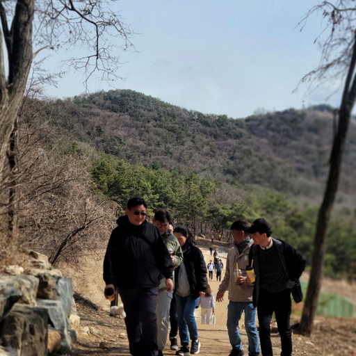 피드 이미지