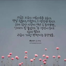 피드에 업로드 된 이미지