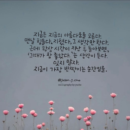 피드 이미지
