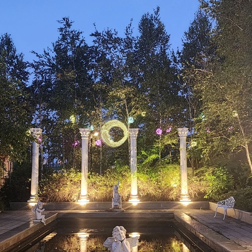 피드 이미지