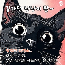 피드에 업로드 된 이미지