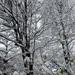 피드에 업로드 된 이미지