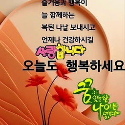 피드에 업로드 된 이미지