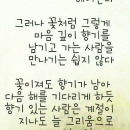 피드에 업로드 된 이미지