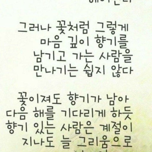 피드 이미지