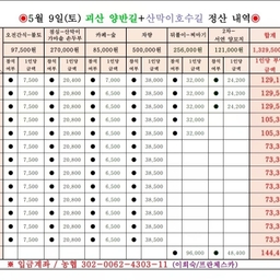 피드에 업로드 된 이미지