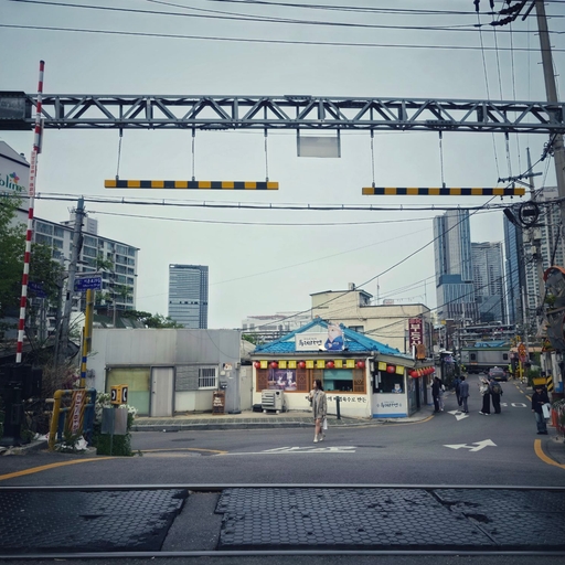 피드 이미지