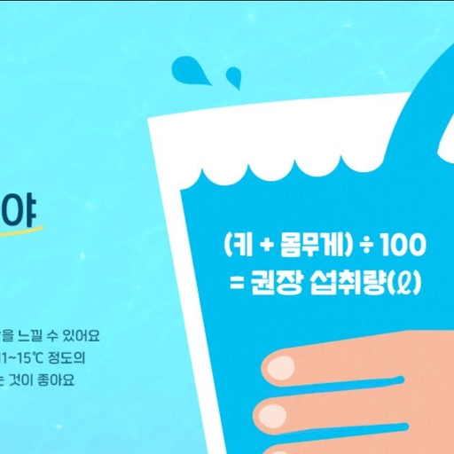 피드 이미지