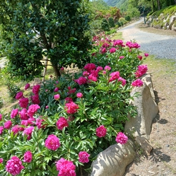 피드에 업로드 된 이미지