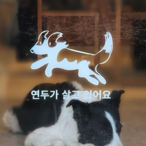 피드 이미지