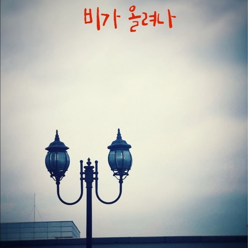 피드 이미지