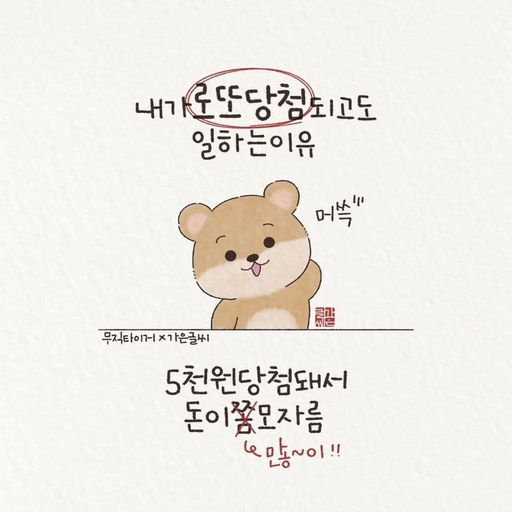 피드 이미지