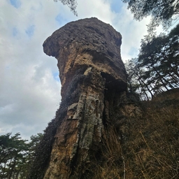 피드에 업로드 된 이미지