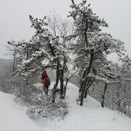 피드에 업로드 된 이미지