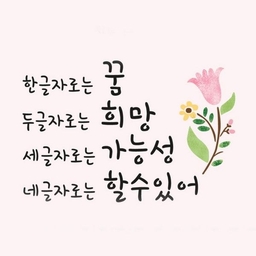 피드에 업로드 된 이미지