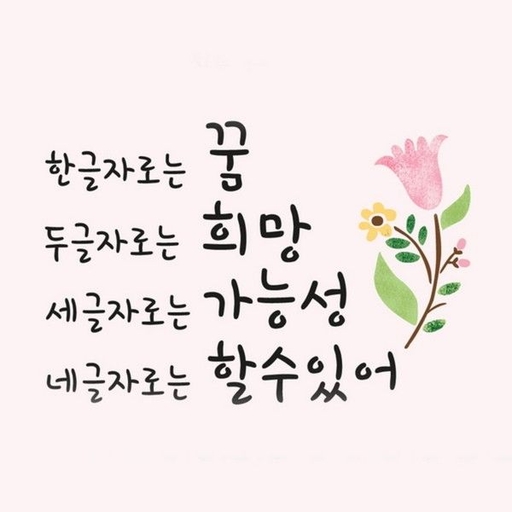 피드 이미지