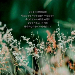 피드에 업로드 된 이미지