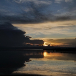 피드에 업로드 된 이미지