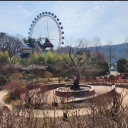 피드에 업로드 된 이미지