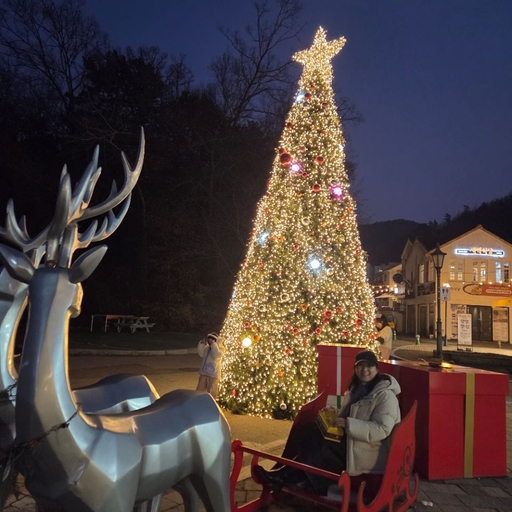 ํผ๋ ์ด๋ฏธ์ง