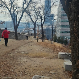 피드에 업로드 된 이미지