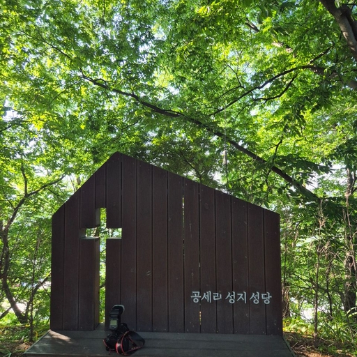 피드 이미지