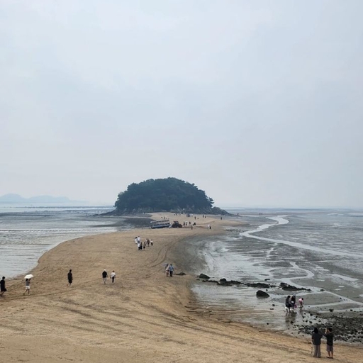 피드 이미지
