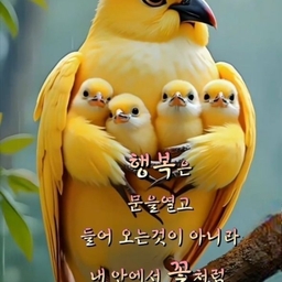 피드에 업로드 된 이미지