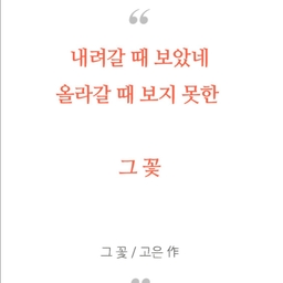 피드에 업로드 된 이미지