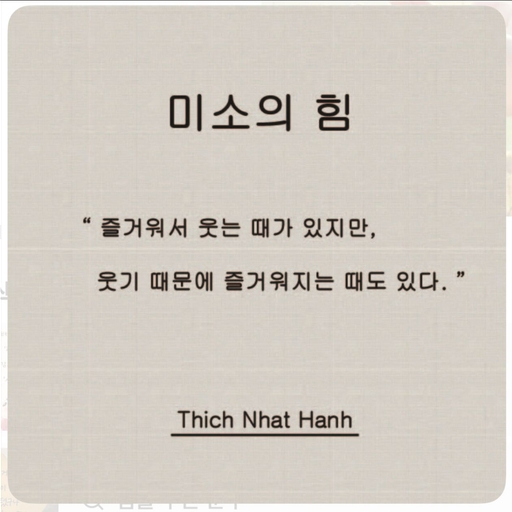 피드 이미지