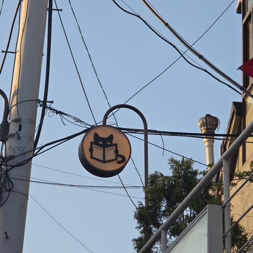 피드 이미지