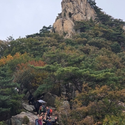 피드에 업로드 된 이미지