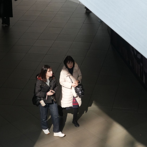 피드 이미지
